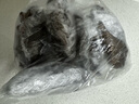 曉芹 大連干海參 400g51-70只 遼刺參 海參干貨禮盒  曬單實拍圖