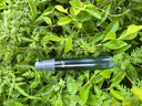 WATERTIME眼鏡防霧劑游泳鏡近視鏡片專用除霧噴劑高清防水防起霧 小藍瓶18ml*1瓶【全鏡片通用】 曬單實拍圖