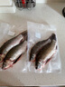 品鮮肴淡水魚(yú)生態(tài)大鯽魚(yú)土鯽魚(yú)新鮮漁民自然捕獲鮮活魚(yú)現殺河鮮生鮮水產(chǎn) 800g（凈膛前1kg）每條半斤 曬單實(shí)拍圖