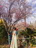 漢虞葵春媛原創(chuàng  )唐制漢服女古裝中國風(fēng)對襟衫復原款齊胸襦裙套裝日常春 【春媛】藍色對襟衫+10破裙+披帛 L 曬單實(shí)拍圖