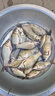 高端HB浮漂高靈敏野釣鯽魚漂超醒目加粗納米漂專用釣魚浮漂 HB01細(xì)尾淺水漂鉛1.4-1.8g 1號-建議售價(jià)21.8元 曬單實(shí)拍圖