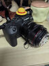 佳能（Canon） EOS RP 全畫幅微單數(shù)碼相機(jī) rp專業(yè)級微單 4K視頻vlog視頻直播專微照相機(jī) RP單機(jī)身/不含鏡頭【拆機(jī)版/高性價(jià)比】 官方標(biāo)配【不含必要配件/推薦選購套餐更實(shí)惠】 曬單實(shí)拍圖