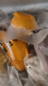 鮮武士冰鮮小臺芒芒果肉冰棒整只芒果當季水果速凍去皮小臺農冰淇淋冷鏈 芒果冰棒15根 曬單實拍圖