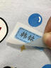美鈴達小學生初高中生名字貼非刺繡兒童入學姓名貼防水免縫可熨燙衣服校服標簽 藍色小號 32個 單名字貼（不帶工具 需要自備） 曬單實拍圖