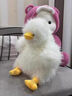 蟻恩墩墩鴨子玩偶公仔可愛(ài)炸毛毛絨玩具小鴨抱枕布娃娃送女孩生日禮物 炸毛墩墩鴨白 40厘米 曬單實(shí)拍圖
