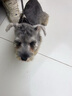 Petio派地奧犬用美容工具寵物狗美毛梳針梳柄梳排梳亮毛梳犬用排梳 曬單實拍圖