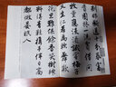 唐寅落花詩冊（修訂版）/歷代碑帖法書選 曬單實(shí)拍圖