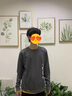 啄木鳥圓領(lǐng)衛(wèi)衣男士春秋季款寬松休閑長(zhǎng)袖t恤男裝青年印花上衣服潮男裝 02灰色+05藍(lán)色 2XL 曬單實(shí)拍圖