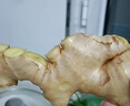 諸氏橙品【有機(jī)】生姜 云南小黃姜 水洗老姜沙地黃姜新鮮蔬菜生鮮買菜京運(yùn) 有機(jī)小黃姜【精選老姜】1500g 曬單實(shí)拍圖