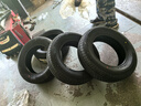 鄧祿普（DUNLOP）輪胎/汽車輪胎 215/65R16 98H SP SPORT FM800 適配途觀/奧德賽 曬單實拍圖