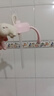 咪小兔（MEE RABBIT）咪小兔適配貝親直飲吸管奶瓶配件離乳奶嘴直吸杯蓋奶嘴鴨嘴手柄 新款直飲杯蓋-粉（12個月+） 曬單實拍圖