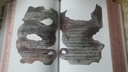 托爾金中土世界系列 The Lord of the Rings魔戒 The Hobbit霍比特人 指環(huán)王英文原版 進口奇幻小說原著 J. R. R. Tolkien 綠山墻 指環(huán)王 魔戒 彩色插圖 精 曬單實拍圖