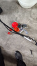 五羊金剛電啟動(dòng)割草機(jī)汽油機(jī)四沖程背負(fù)式一鍵啟動(dòng)進(jìn)口本田除草松土打草機(jī) (電啟動(dòng))背負(fù)式標(biāo)配+大禮包 曬單實(shí)拍圖
