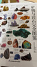 【包郵】礦物與巖石完全圖鑒 礦石大百科寶石圣典 曬單實拍圖