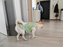 馭瑛狗狗衣服夏季背心薄款防掉毛清涼透氣防曬衫中大型犬防臟戶外出行 4XL胸圍80cm建議40-59斤 曬單實(shí)拍圖