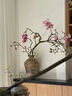 玉蘭花水培水養(yǎng)綠植花卉遇水開(kāi)花樹(shù)苗盆栽帶花苞干枝耐寒鮮切白紫 【清香素雅】鮮切白玉蘭60~80cm3枝+送掛件+ 裸根不帶土 曬單實(shí)拍圖