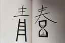 No WiFi簡(jiǎn)裝版 一日一畫(huà)Tango漫畫(huà)全新精選 這是一本沒(méi)有年份的日歷 可以是今年明年后年后后年……只要你開(kāi)心年年有效 曬單實(shí)拍圖