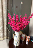 仿真桃花枝假臘梅花樹枝櫻花塑料花干花落地客廳絹花擺件室內(nèi)裝飾 60厘米粉色桃花（10支） 無花瓶 曬單實拍圖
