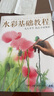 經(jīng)典全集《水彩基礎教程》入門(mén)臨摹零基礎自學(xué)教材書(shū)籍風(fēng)景美食花卉美術(shù)藝術(shù)少女手繪插畫(huà)冊本森系美院名師 曬單實(shí)拍圖