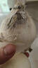 沙外秋香新疆白洋蔥新疆皮牙子不辣白洋蔥新鮮蔬菜生吃涼拌全國(guó)壞果包賠 5斤裝 曬單實(shí)拍圖