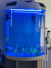 閩江（minjiang）半圓形魚缸水族箱圓柱型金魚缸客廳生態(tài)造景免換水錦鯉烏龜缸 純白色+禮包+升級過濾 BY560（魚缸+儲物柜子） 曬單實拍圖