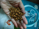 冠能one萬(wàn)牌成貓糧2kg貓糧三文魚(yú)成貓主糧英短藍貓雞肉室內糧山姆有售 室內成貓糧2kg 曬單實(shí)拍圖