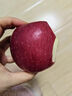 甘肅靜寧紅富士蘋(píng)果冰糖心時(shí)令脆甜平安蘋(píng)果當季新鮮水果生鮮CC 3斤 中大果 曬單實(shí)拍圖