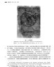 《地圖學(xué)史》第二卷第一分冊·伊斯蘭與南亞傳統社會(huì )的地圖學(xué)史 曬單實(shí)拍圖