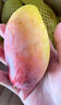 三萌果蔬凱特芒果當(dāng)季新鮮水果孕婦現(xiàn)摘香甜多汁青皮芒大澳芒彩虹整箱送人 5斤甄選裝凈重4.5斤 曬單實(shí)拍圖