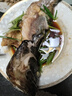 蝶島船說(shuō) 東山島冷凍石斑魚(yú) 深海龍膽石斑魚(yú) 海捕珍珠斑 海鮮水產(chǎn) 500g-600g/條 共兩條 曬單實(shí)拍圖