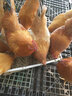 秘魯原裝純魚粉飼料批發(fā)高蛋白雞鵝用魚蝦蟹水產(chǎn)養(yǎng)殖飼料 秘魯魚粉100斤 曬單實拍圖