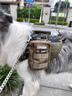 出眾者胸背帶中型犬狗背心狗背帶大型犬胸背狗衣服邊牧薩摩耶狗繩牽引繩 煙綠（配包+胸背帶) S（建議體重25-50斤） 曬單實拍圖