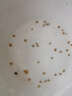 北蔬 番茄種子苗西紅柿老品種味濃四季盆栽菜種籽 馬蹄番茄種子200粒 曬單實(shí)拍圖