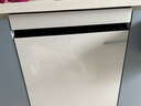 博世（BOSCH）14套家用嵌入式小虎鯨洗碗機(jī) 智能開(kāi)門(mén)速干 母嬰級(jí)除菌消毒 甲流病毒消殺 SJU4EKW66C 曬單實(shí)拍圖