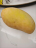懿鮮匯海南金煌芒水仙大芒果現摘新鮮應季甜心芒熱帶孕婦水果年貨送禮 3斤裝【無(wú)禮盒】 【JD順豐-送貨上門(mén)】 曬單實(shí)拍圖