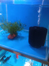 信友魚缸蝦缸水族箱生化棉過濾器XY-180 280 380水妖精組缸系統(tǒng)缸 XY-380水妖精 曬單實(shí)拍圖
