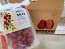 褚蘋果【免洗】新疆若羌灰棗 吊干小紅棗土棗 當季孕婦零食特產禮盒裝 【免洗灰棗】3斤  簡雅禮盒裝 曬單實拍圖