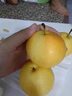 東北鞍山南果梨 遼寧特產(chǎn)南國梨新鮮梨子酒香濃郁現(xiàn)摘香水梨整箱L 人工精選-紅果 中果5斤（30個左右） 曬單實拍圖