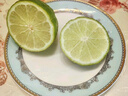 無(wú)籽青檸檬 泰國品種小青檸 新鮮水果 3斤 約21-37個(gè)【單果40-70g】 曬單實(shí)拍圖