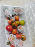 【順豐】盤(pán)錦鐵皮西紅柿草莓西紅柿番茄堿地柿子新鮮水果西紅柿 3斤 優(yōu)選果 曬單實(shí)拍圖