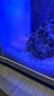 瘋狂石頭魚(yú)缸造景底砂烏龜缸裝飾天然河沙水族箱專(zhuān)用溪流水晶底沙 水晶砂【5斤裝】已清洗，適合懶人造景 曬單實(shí)拍圖