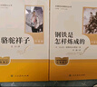 【新華正版】【單本套裝自選】七年級/八年級下冊人教版初中版初二語(yǔ)文課外閱讀名著(zhù) 【七年級下升級版】鋼鐵是怎樣煉成的+駱駝祥子 曬單實(shí)拍圖