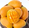 京喜加現(xiàn)摘小臺(tái)農(nóng)芒果新鮮特產(chǎn)水果  輕微花皮半熟果發(fā)貨 帶箱1斤單果70-100克 曬單實(shí)拍圖