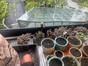 花園阻根防滲膜防水防根刺防穿刺土工膜屋頂花池綠化阻根膜防水卷 【3米寬】× 1米長(cháng) 曬單實(shí)拍圖