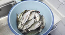 達(dá)瓦本川進(jìn)口高碳魚竿手竿超輕超硬十大臺(tái)釣魚竿鯽鯉魚竿輕量綜合竿大物竿 7.2m 6H19調(diào)旗艦版+原裝竿稍 曬單實(shí)拍圖