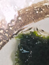 聽(tīng)白閣大和藻蝦大河藻蝦綠絲藻黑絨毛藻克星超強除藻水草蝦水草工具蝦缸 1.2-1.9CM臺灣大河藻蝦（10只） 曬單實(shí)拍圖