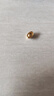 中國黃金（CHINA GOLD）足金999金元寶金豆豆儲蓄送女友老婆長(cháng)輩七夕情人節投資收藏禮物 凈金重 約1g 曬單實(shí)拍圖