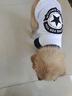 時(shí)尚薄款居家寵物衣服潮牌穿搭防掉毛貓咪衣服帥氣小型犬狗狗衣服 黑白五角星短袖 XL碼約13-17斤 曬單實(shí)拍圖