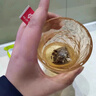 胖東來品質蜜桃烏龍茶白桃烏龍花茶水果茶組合茶包女生茶冷泡果茶 蜜桃烏龍茶150包 曬單實拍圖