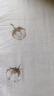 多憶綿眠（duoyimianmian）【不單賣(mài)】紗布套薄款棉紗布套內(nèi)膽套棉布套保護(hù)罩比被套薄 棉花樹(shù) 150*200cm 曬單實(shí)拍圖
